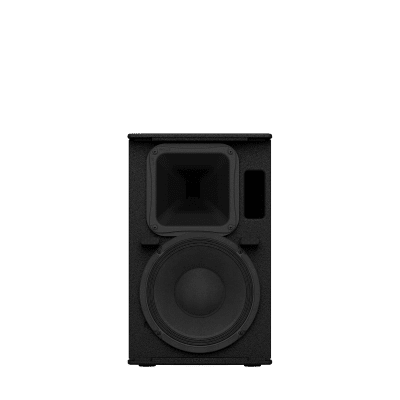 Altavoz de Montaje en Superficie de 2 vias | Woofer 10'' | Tweeter 1.4 | 8ohms | Color Negro | 350W | Gabinete de Madera