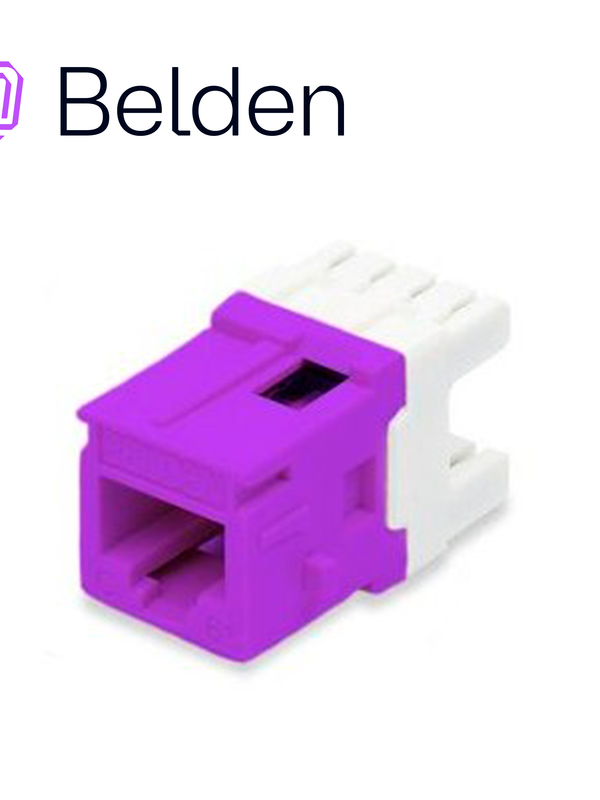 [EC010BEL60] CONECTOR MODULAR JACK CAT6+ RJ45 BELDEN AX104194 / KEYCONNECT / INTERIOR / PURPURA / PIEZA