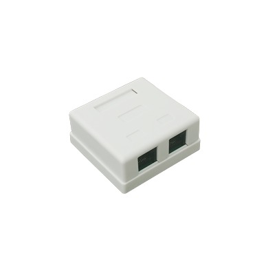 [LP-WP-09] Caja de Pared con Jack UTP Cat5e y Jack RJ11 Telefónico